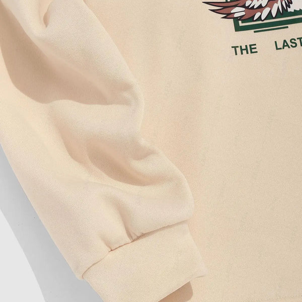 ZAFUL Streetwear Vintage ALASKA Graphic Eagle Printed Colorblock Fleece Quarter Zip Sweatshirt